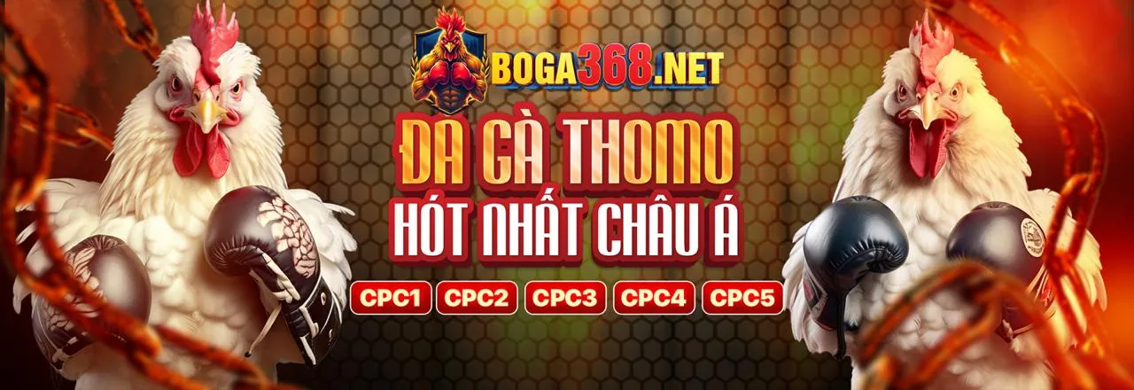 Sòng bạc trực tuyến AWIN456 với người chia bài thật