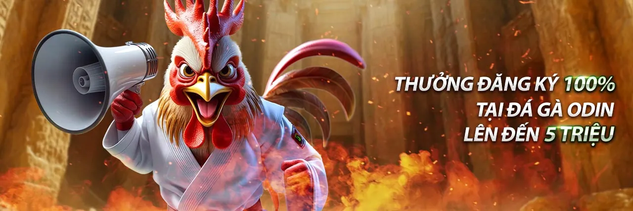 Khuyến mãi thể thao awin456